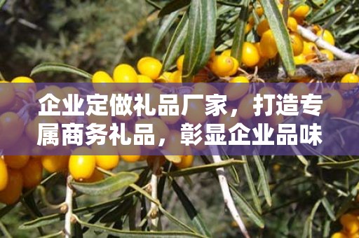企业定做礼品厂家，打造专属商务礼品，彰显企业品味